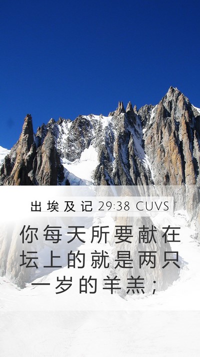 出 埃 及 记 29:38 CUVS Bible Verse Image