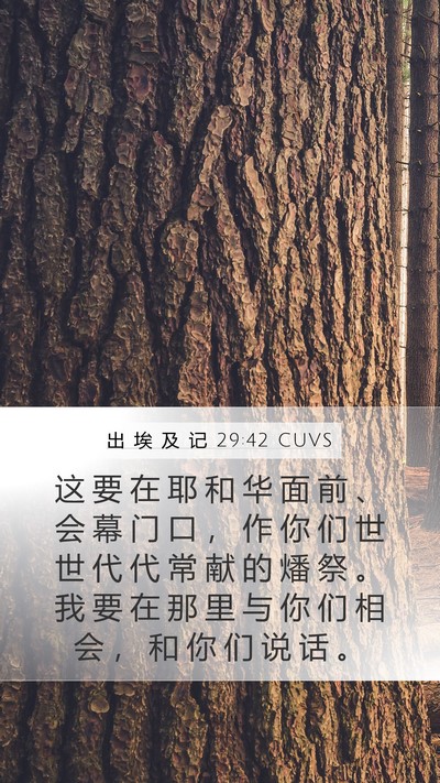 出 埃 及 记 29:42 CUVS Bible Verse Image