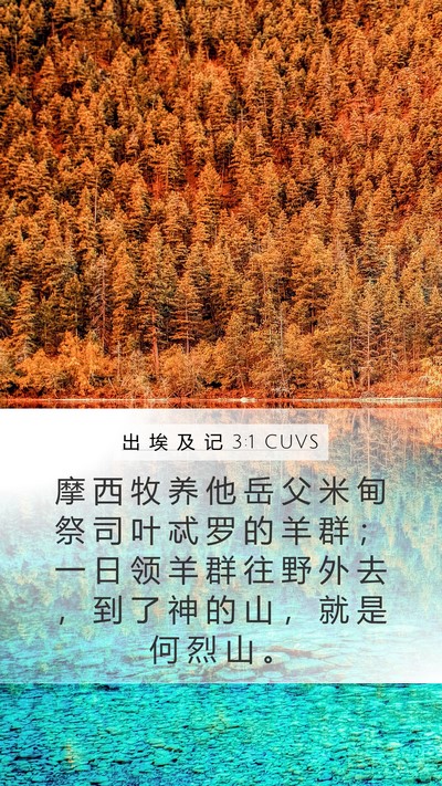 出 埃 及 记 3:1 CUVS Bible Verse Image