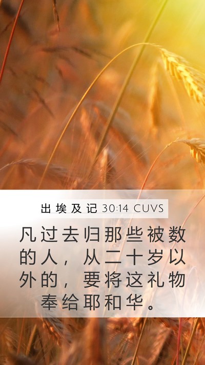 出 埃 及 记 30:14 CUVS Bible Verse Image