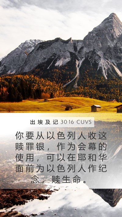 出 埃 及 记 30:16 CUVS Bible Verse Image
