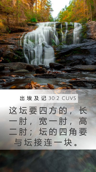 出 埃 及 记 30:2 CUVS Bible Verse Image