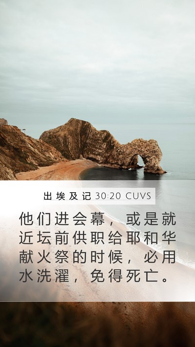 出 埃 及 记 30:20 CUVS Bible Verse Image