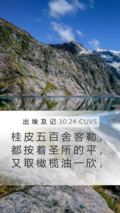 出 埃 及 记 30:24 CUVS Bible Verse Image