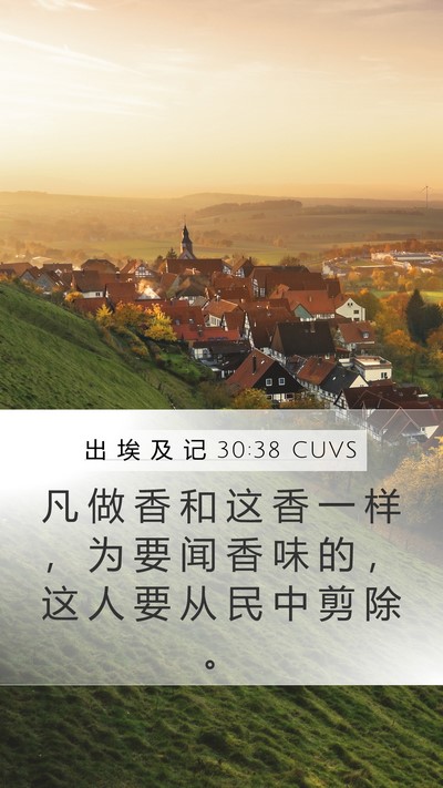 出 埃 及 记 30:38 CUVS Bible Verse Image