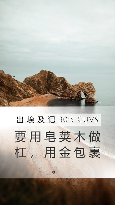 出 埃 及 记 30:5 CUVS Bible Verse Image