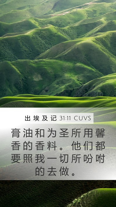 出 埃 及 记 31:11 CUVS Bible Verse Image