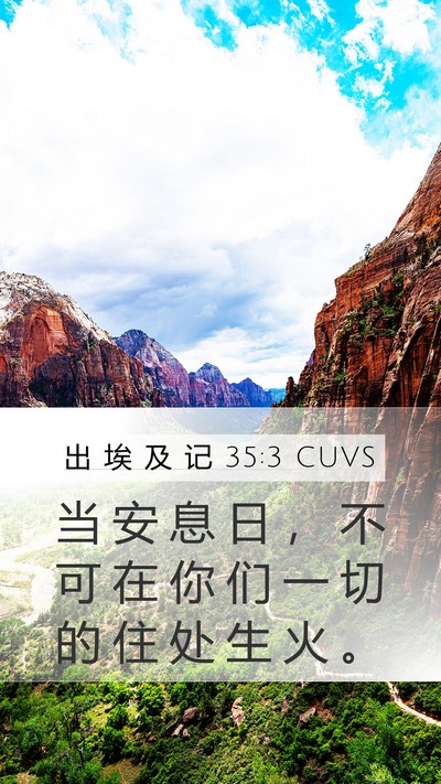 出 埃 及 记 35:3 CUVS Bible Verse Image