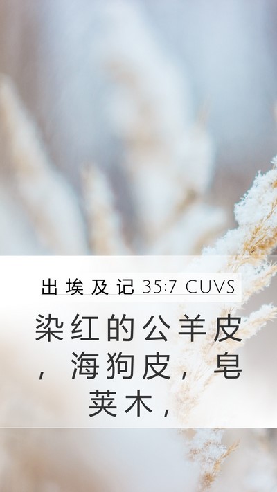 出 埃 及 记 35:7 CUVS Bible Verse Image