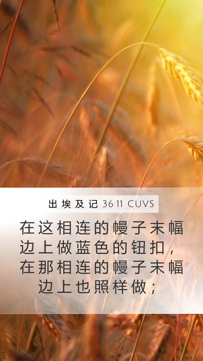 出 埃 及 记 36:11 CUVS Bible Verse Image