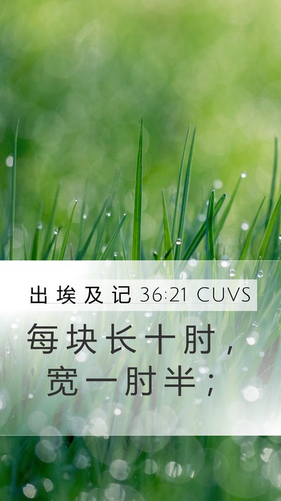出 埃 及 记 36:21 CUVS Mobile Phone Wallpaper - 每 块 长 十 肘 ， 宽 一 肘 半 - Mobile Bible Verse Wallpaper