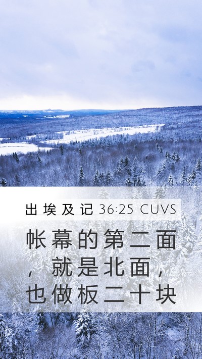 出 埃 及 记 36:25 CUVS Mobile Phone Wallpaper - 帐 幕 的 第 二 面 ， 就 是 北 面 ， - Mobile Bible Verse Wallpaper