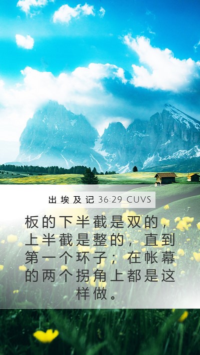出 埃 及 记 36:29 CUVS Bible Verse Image