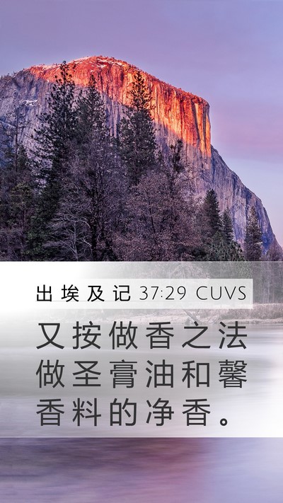 出 埃 及 记 37:29 CUVS Mobile Phone Wallpaper - 又 按 做 香 之 法 做 圣 膏 油 和 馨 - Mobile Bible Verse Wallpaper