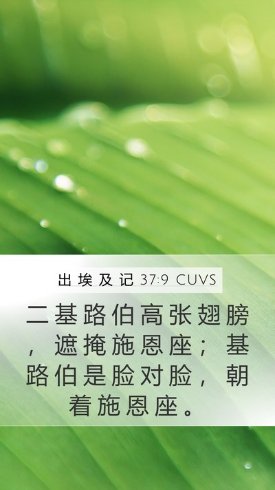 出 埃 及 记 37:9 CUVS Bible Verse Image