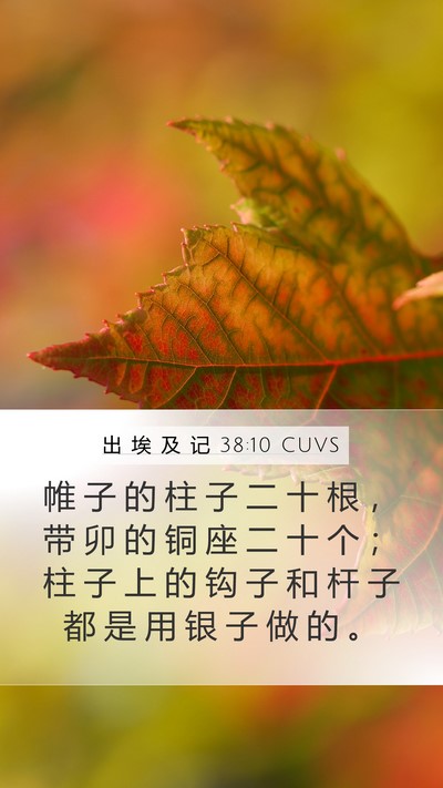 出 埃 及 记 38:10 CUVS Mobile Phone Wallpaper - 帷 子 的 柱 子 二 十 根 ， 带 卯 的 - Mobile Bible Verse Wallpaper