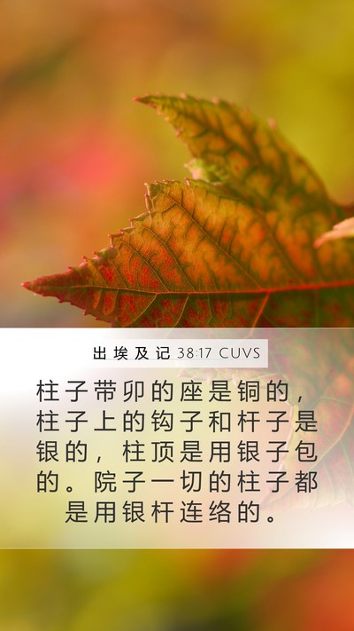 出 埃 及 记 38:17 CUVS Bible Verse Image