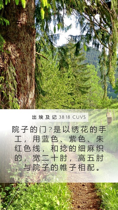 出 埃 及 记 38:18 CUVS Mobile Phone Wallpaper - 院 子 的 门 ? 是 以 绣 花 的 手 工 ， - Mobile Bible Verse Wallpaper
