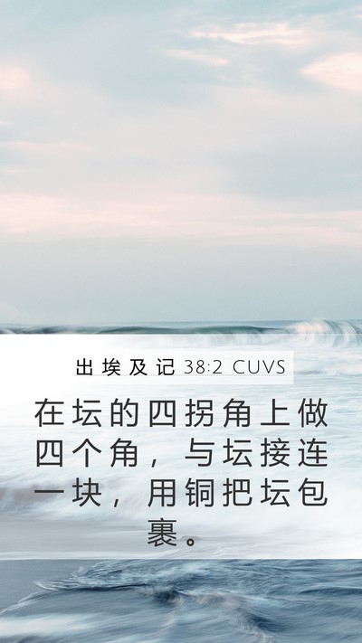 出 埃 及 记 38:2 CUVS Bible Verse Image