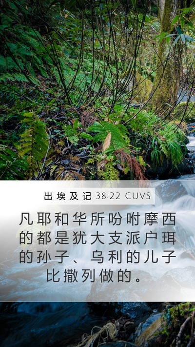 出 埃 及 记 38:22 CUVS Bible Verse Image