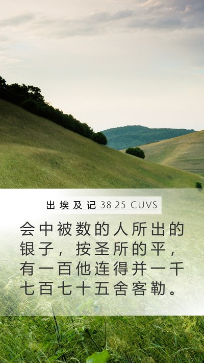 出 埃 及 记 38:25 CUVS Bible Verse Image