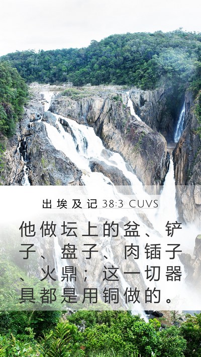 出 埃 及 记 38:3 CUVS Bible Verse Image