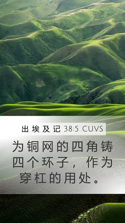 出 埃 及 记 38:5 CUVS Mobile Phone Wallpaper - 为 铜 网 的 四 角 铸 四 个 环 子 ， - Mobile Bible Verse Wallpaper