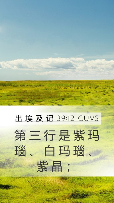 出 埃 及 记 39:12 CUVS Mobile Phone Wallpaper - 第 三 行 是 紫 玛 瑙 、 白 玛 瑙 、 - Mobile Bible Verse Wallpaper