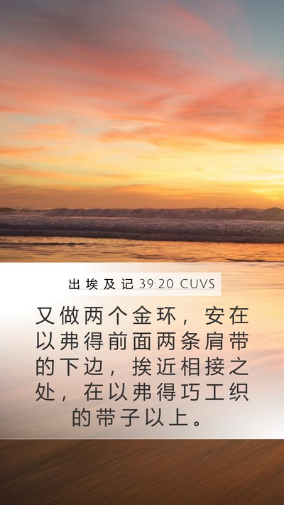 出 埃 及 记 39:20 CUVS Mobile Phone Wallpaper - 又 做 两 个 金 环 ， 安 在 以 弗 得 - Mobile Bible Verse Wallpaper