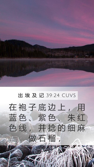 出 埃 及 记 39:24 CUVS Bible Verse Image