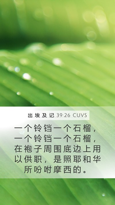 出 埃 及 记 39:26 CUVS Bible Verse Image