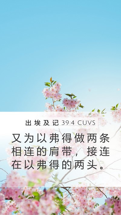 出 埃 及 记 39:4 CUVS Mobile Phone Wallpaper - 又 为 以 弗 得 做 两 条 相 连 的 肩 - Mobile Bible Verse Wallpaper