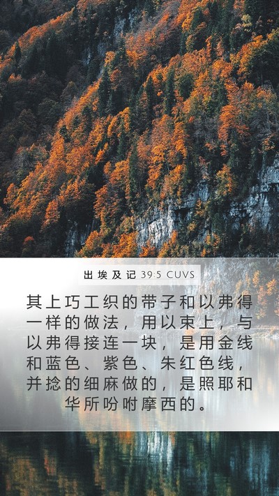 出 埃 及 记 39:5 CUVS Bible Verse Image