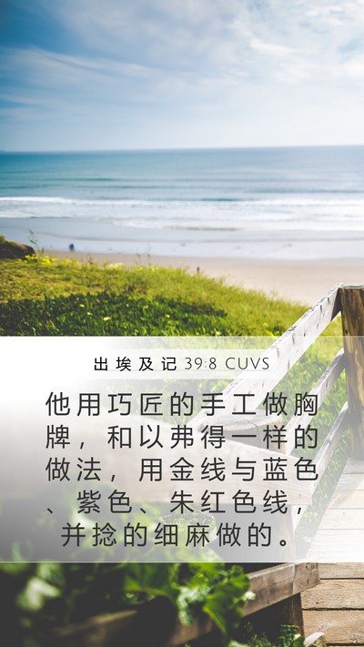 出 埃 及 记 39:8 CUVS Bible Verse Image