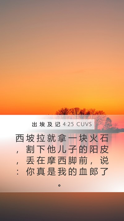 出 埃 及 记 4:25 CUVS Bible Verse Image