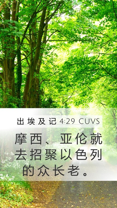 出 埃 及 记 4:29 CUVS Bible Verse Image