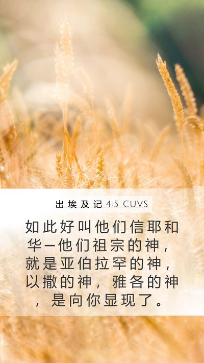 出 埃 及 记 4:5 CUVS Bible Verse Image