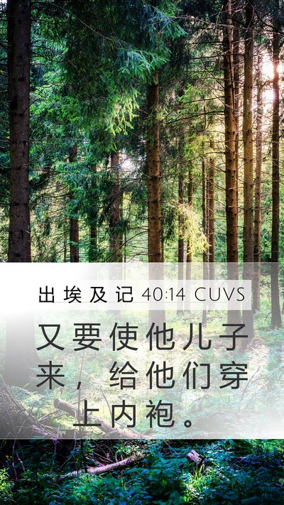 出 埃 及 记 40:14 CUVS Bible Verse Image