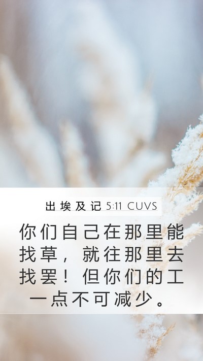 出 埃 及 记 5:11 CUVS Mobile Phone Wallpaper - 你 们 自 己 在 那 里 能 找 草 ， 就 - Mobile Bible Verse Wallpaper
