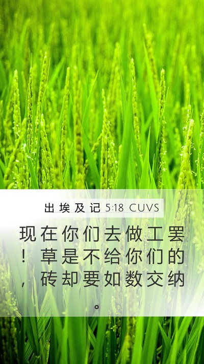 出 埃 及 记 5:18 CUVS Bible Verse Image
