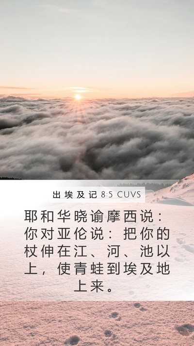 出 埃 及 记 8:5 CUVS Bible Verse Image