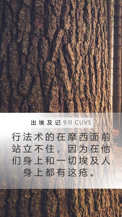 出 埃 及 记 9:11 CUVS Bible Verse Image