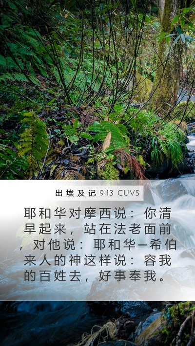 出 埃 及 记 9:13 CUVS Bible Verse Image
