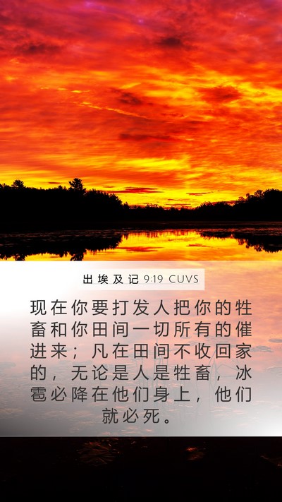出 埃 及 记 9:19 CUVS Bible Verse Image