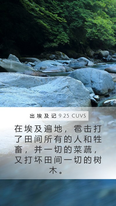 出 埃 及 记 9:25 CUVS Bible Verse Image