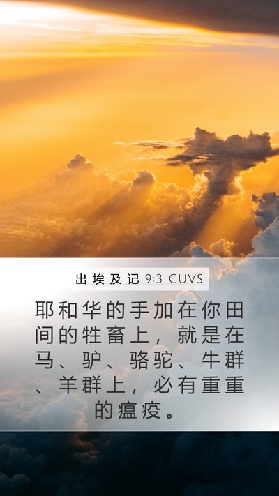 出 埃 及 记 9:3 CUVS Bible Verse Image