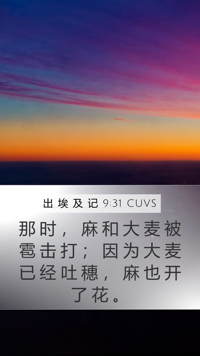 出 埃 及 记 9:31 CUVS Bible Verse Image