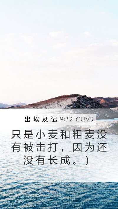 出 埃 及 记 9:32 CUVS Bible Verse Image