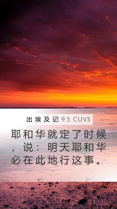 出 埃 及 记 9:5 CUVS Bible Verse Image
