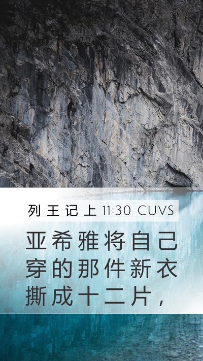 列 王 记 上 11:30 CUVS Bible Verse Image